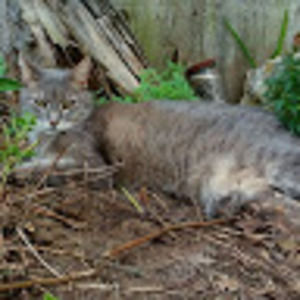 Meet your Posher, Mindy